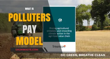 Polluters Pay Model: Making Polluters Accountable
