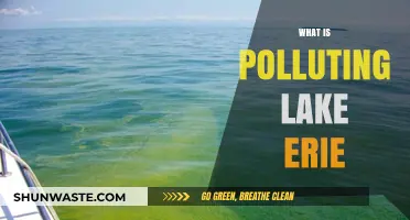 Lake Erie's Pollution Crisis: What's the Main Culprit?