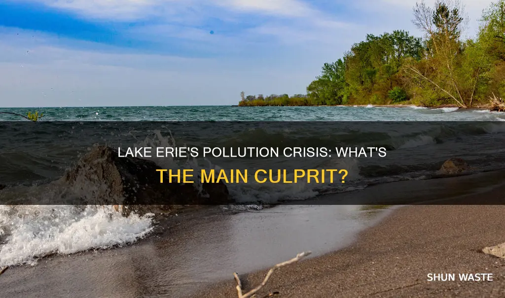 what is polluting lake erie
