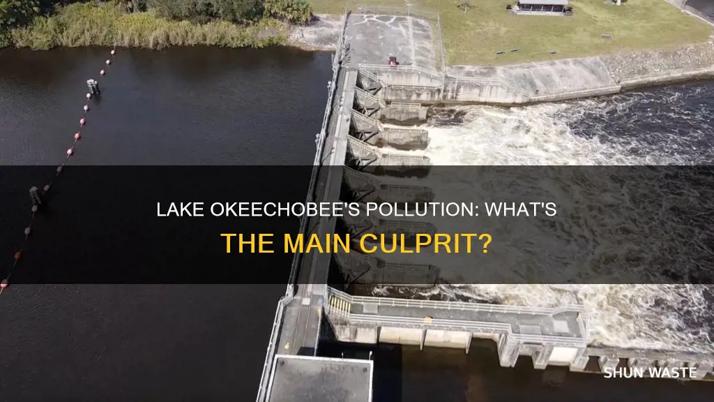 what is polluting lake okeechobee