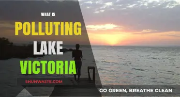 Lake Victoria's Pollution Crisis: Understanding the Causes