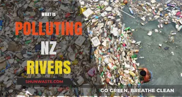Human Impact: Polluting New Zealand's Rivers