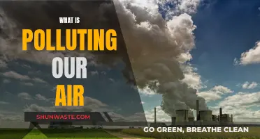 Air Pollution: What's Harming Our Planet?
