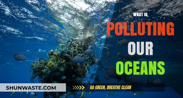 Ocean Pollution: The Devastating Impact of Human Activity