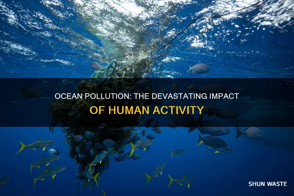 what is polluting our oceans