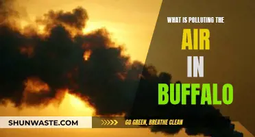 Air Pollution in Buffalo: What's the Problem?