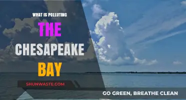 Chesapeake Bay: A Pollution Crisis