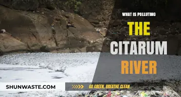 Citarum River: A Battle Against Pollution