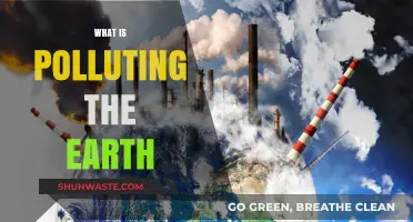 Human Impact: Earth's Pollution Sources