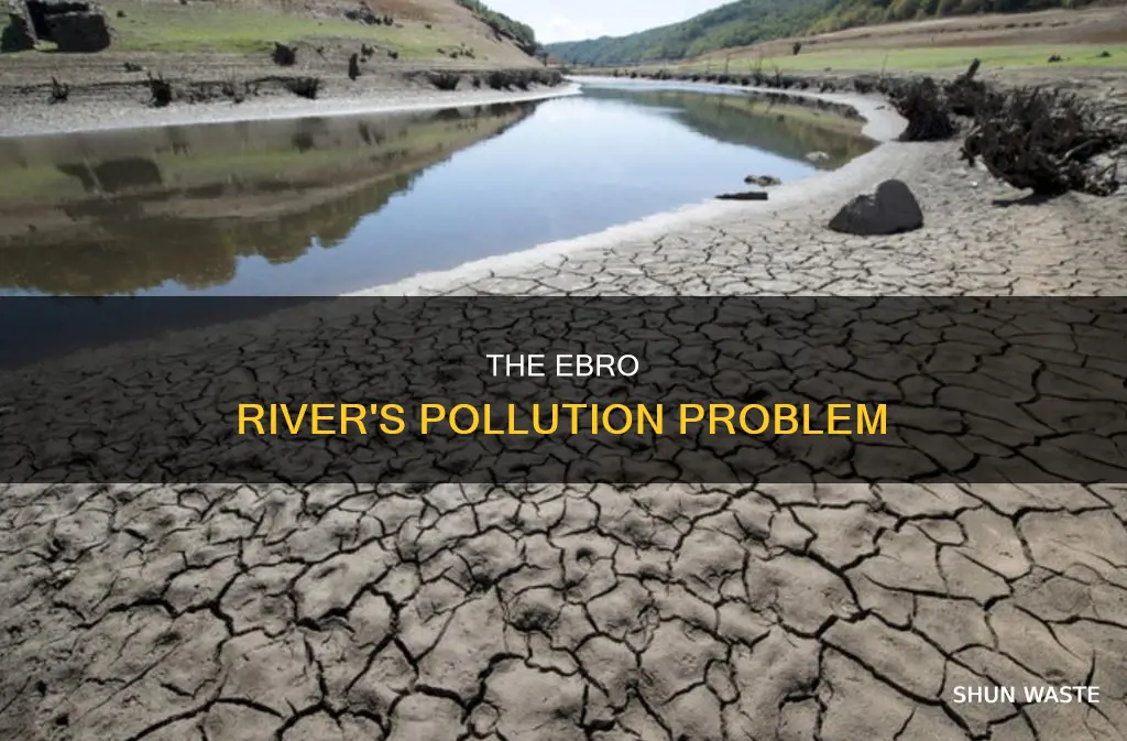 what is polluting the ebro river
