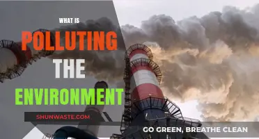 Human Impact: Environmental Pollution