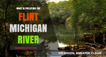 Flint River Pollution: The Toxic Truth