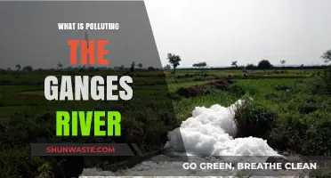 Ganges River Pollution: Understanding the Crisis