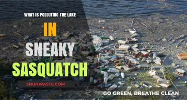 How Sneaky Sasquatch's Lake Became Polluted