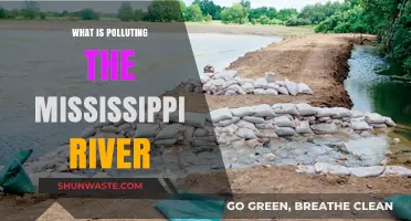 The Mississippi River: Pollution Sources and Solutions