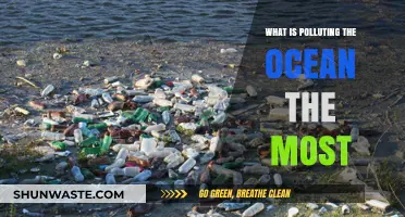 Ocean Pollution: The Main Culprits and Their Impact