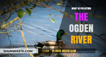 Ogden River Pollution: Sources and Solutions