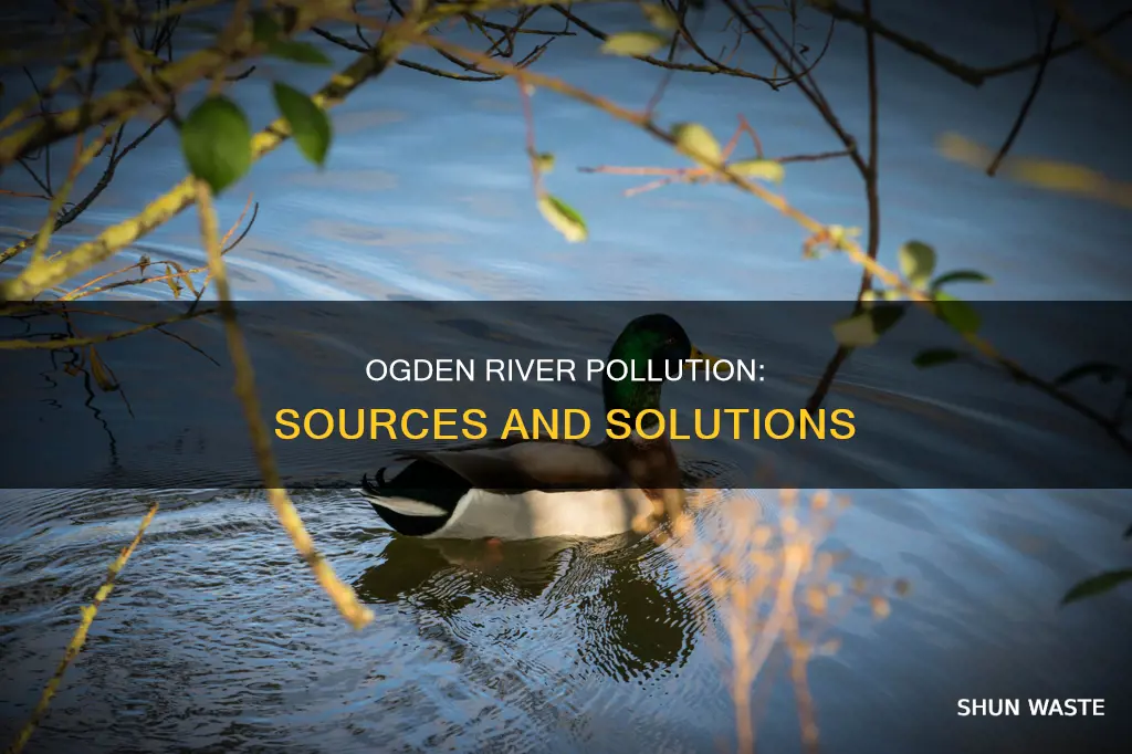 what is polluting the ogden river
