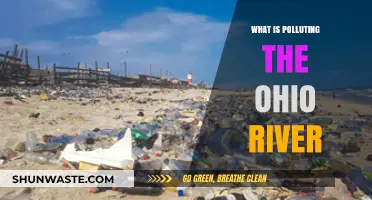 Ohio River Pollution: What's the Damage?
