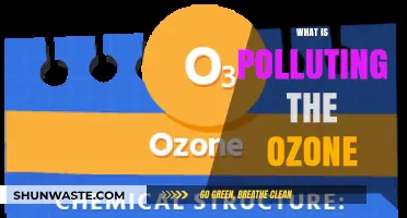 Human Activities Polluting the Ozone Layer