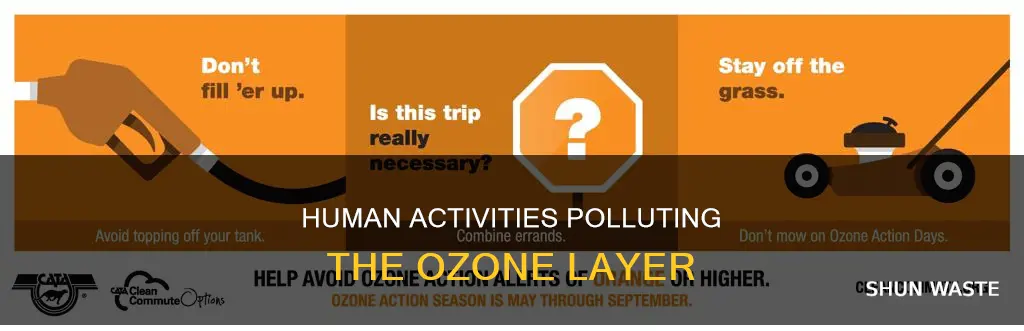 what is polluting the ozone