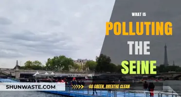 The Seine's Pollution: Uncovering the Culprits