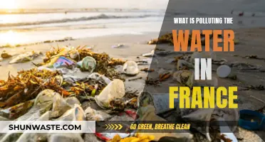 Unveiling France's Water Pollution: Sources, Impact, and Solutions