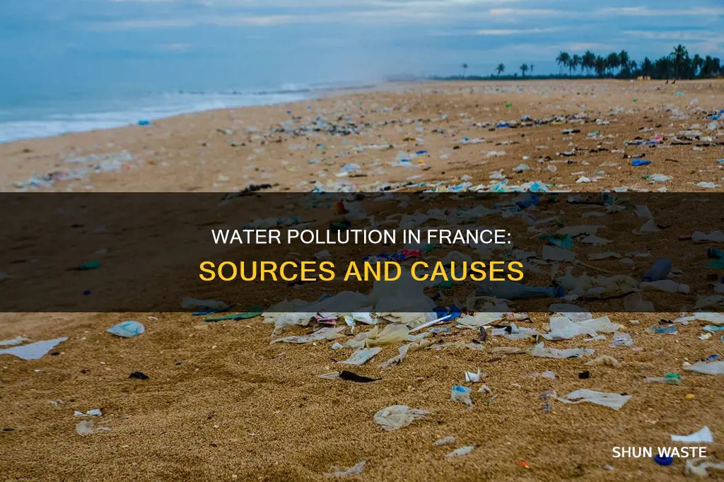 what is polluting the water in france
