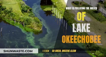 Unveiling the Hidden Pollutants: Lake Okeechobee's Troubled Waters