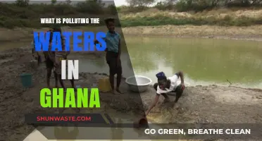 Ghana's Water Pollution: Sources and Solutions