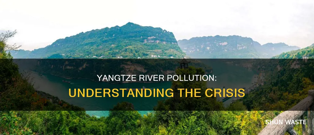 what is polluting the yangtze river