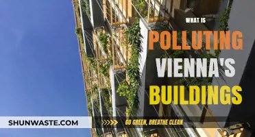 Vienna's Buildings: Pollution's Unseen Damage