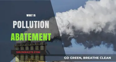 Pollution Abatement: Strategies for a Cleaner Environment