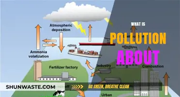Understanding Pollution: Its Impact and Our Future