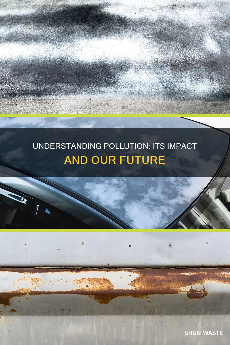 Understanding Pollution: Its Impact And Our Future | ShunWaste