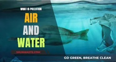 Air and Water Pollution: Understanding the Crisis