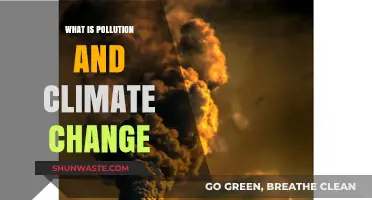 Climate Change: Pollution's Impact on Our Planet