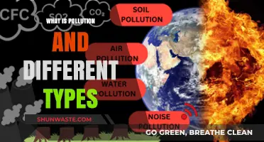 Understanding Pollution: Types and Their Impact