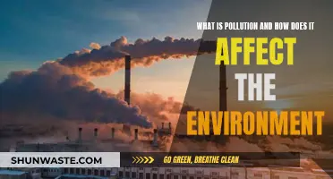 Pollution's Impact: Understanding Environmental Threats