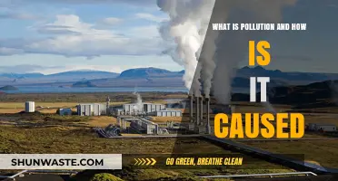 Unveiling Pollution's Impact: Causes and Consequences Explained