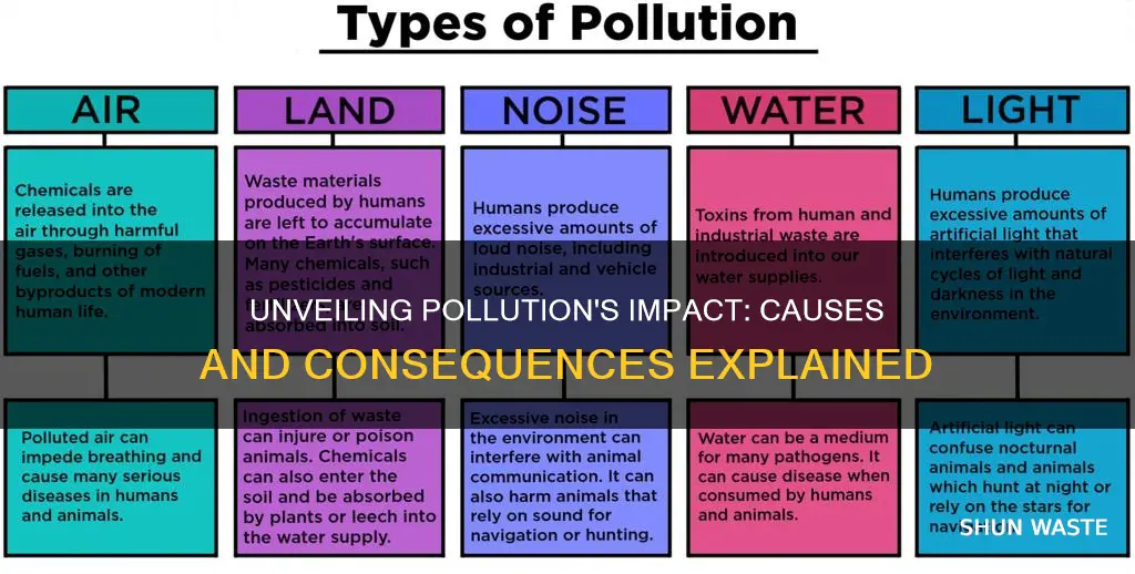 what is pollution and how is it caused