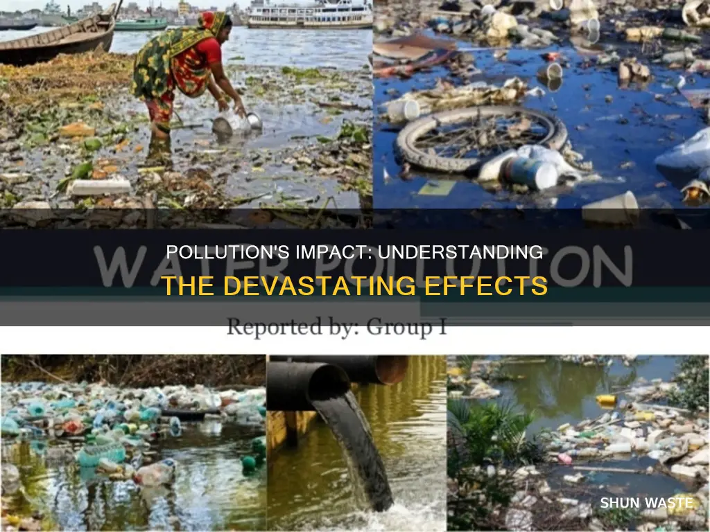 what is pollution and its effects