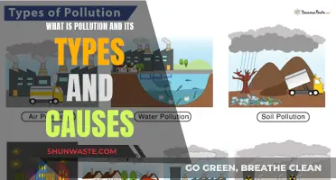 Unveiling Pollution: Understanding Its Impact and Origins