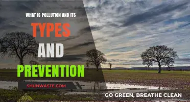 Pollution: Understanding Types and Prevention Methods