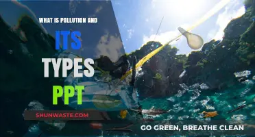 Understanding Pollution: Its Types and Impact