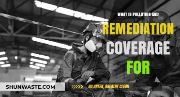 Pollution and Remediation Coverage: Protecting Businesses from Environmental Risks