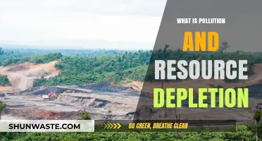 The Dark Side of Human Progress: Pollution and Resource Depletion