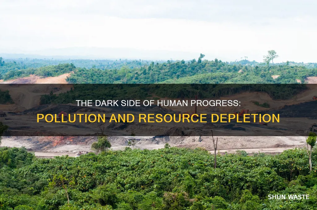 what is pollution and resource depletion