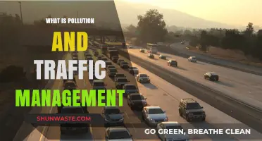 Traffic and Pollution: Strategies for Management