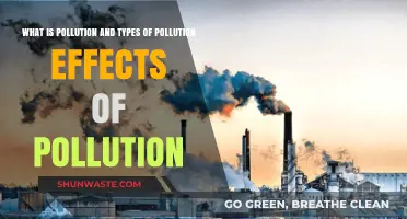 Pollution: Understanding Its Types and Harmful Effects